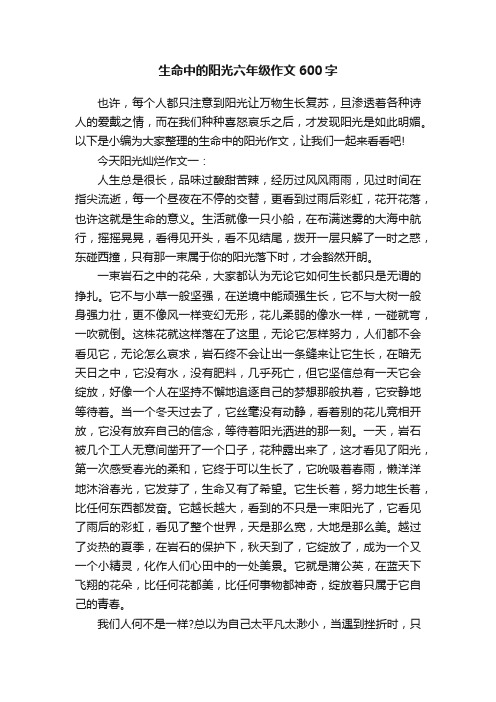 生命中的阳光六年级作文600字