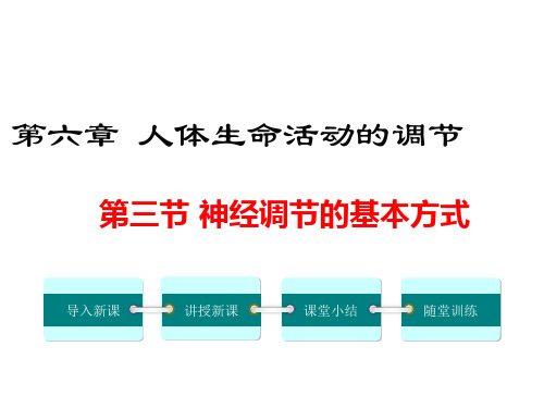 第三节神经调节的基本方式