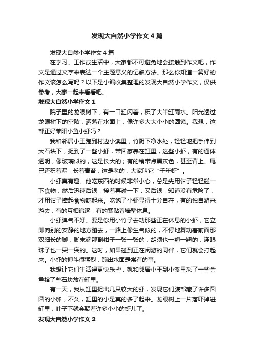 发现大自然小学作文4篇