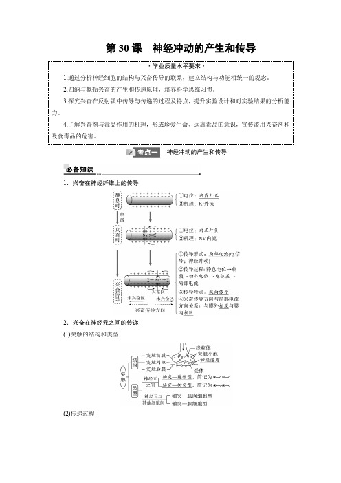 2025年高考生物一轮复习33第八单元第30课神经冲动的产生和传导