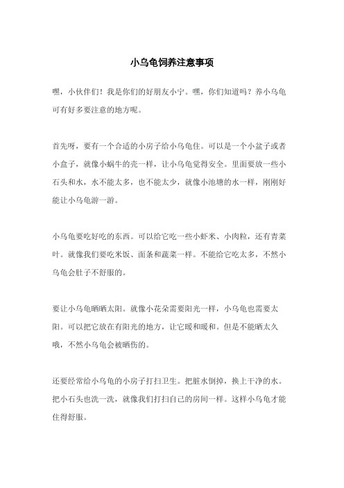 小乌龟饲养注意事项