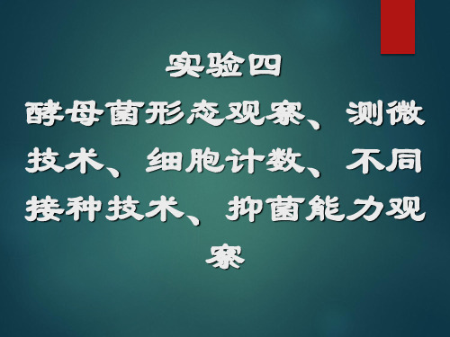 实验酵母菌形态学观察与显微镜直接计数技术1剖析