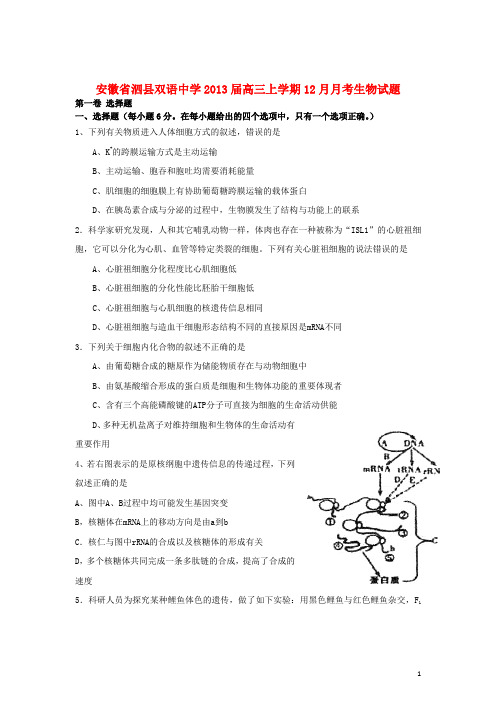 安徽省泗县高三生物上学期12月月考试题新人教版