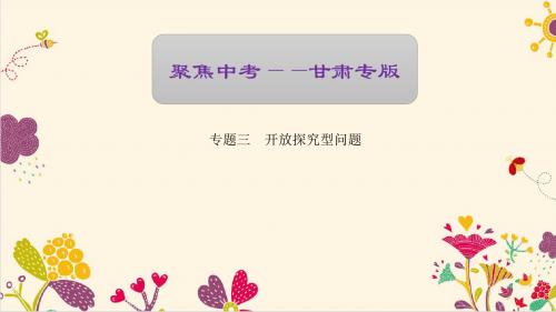 【专题复习】2017版《聚焦中考》中考数学(甘肃地区) 课件专题三 开放探究型问题