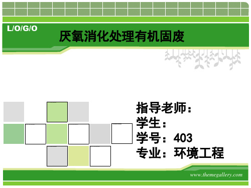 1厌氧消化处理有机固废