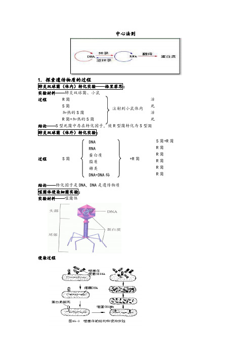 中心法则讲义