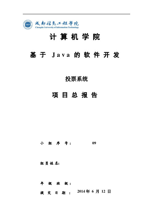 Java软件设计投票系统总报告