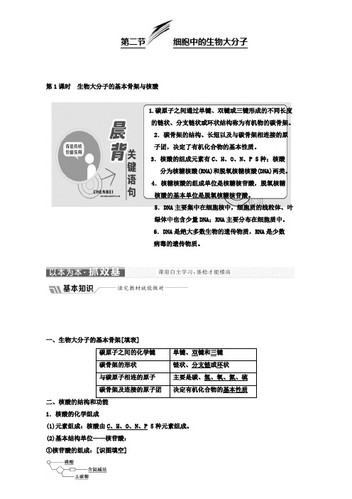 高中生物苏教版必修1教学案:第二章第二节第1课时 生物大分子的基本骨架与核酸