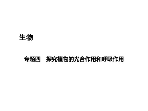 2020届中考科学(宁波版)教材实验探究课件：专题四 探究植物的光合作用和呼吸作用 (共38张PPT