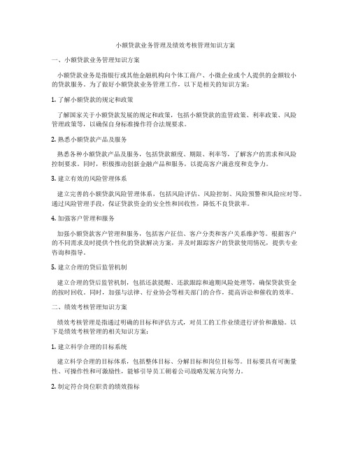 小额贷款业务管理及绩效考核管理知识方案