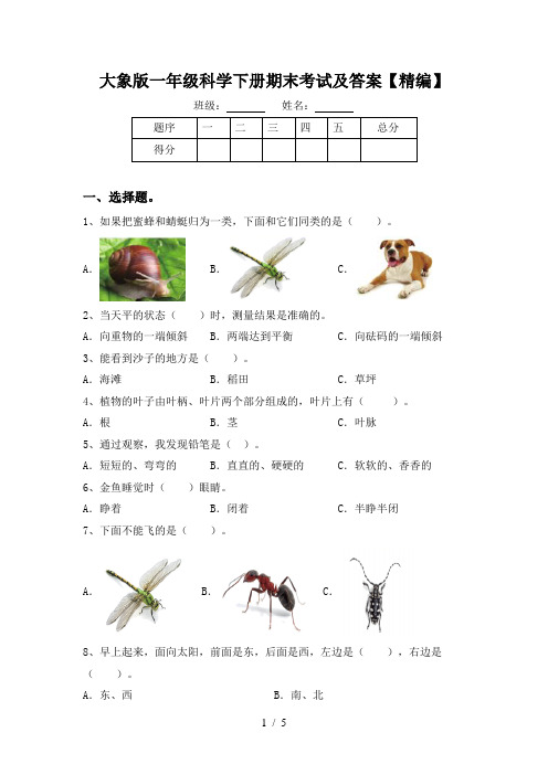 大象版一年级科学下册期末考试及答案【精编】