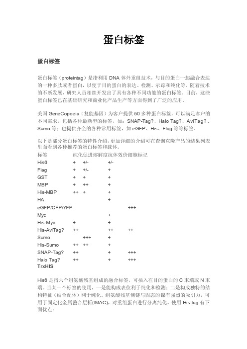 融合蛋白标签与纯化