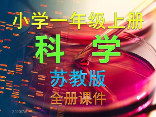 苏教版,一年级,上册,科学,全册,课件PPT(共12课)