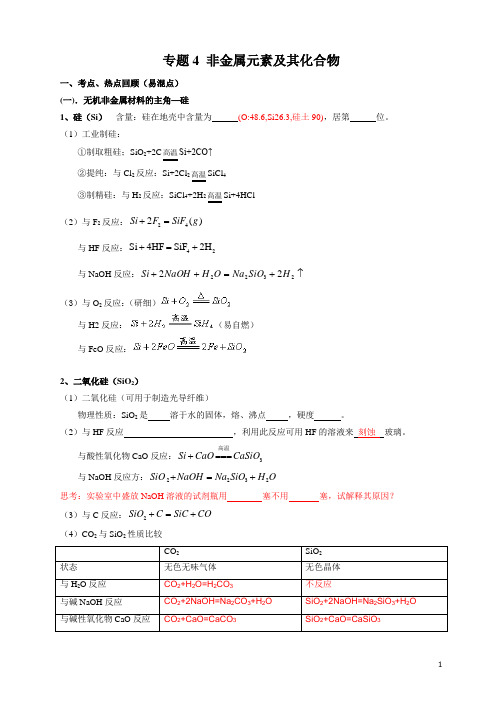 专题4 非金属元素及其化合物(高三总复习)