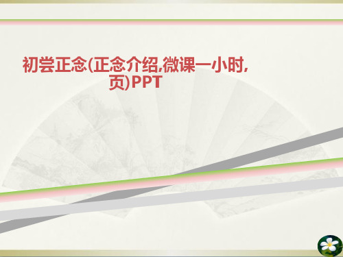 初尝正念(正念介绍,微课一小时,页)PPT