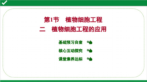 人教版高中生物选择性必修三课件——第2章 第 1 节 二 植物细胞工程的应用
