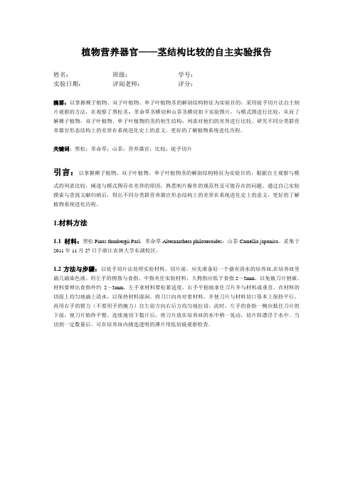 植物营养器官结构比较及繁殖器官结构与发育试验报告