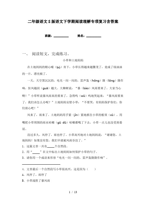 二年级语文S版语文下学期阅读理解专项复习含答案