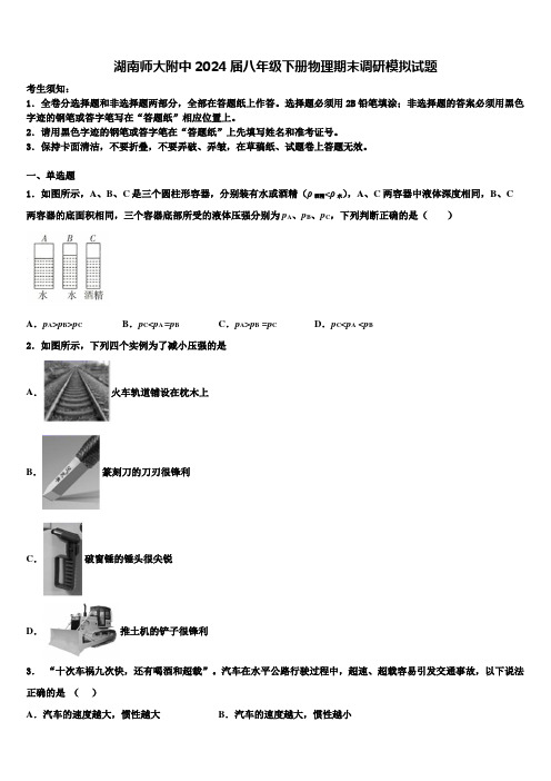 湖南师大附中2024届八年级下册物理期末调研模拟试题含解析