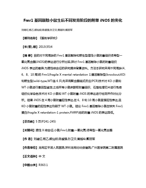 Fmr1基因敲除小鼠生后不同发育阶段的附睾iNOS的变化