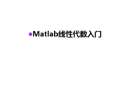 Matlab线性代数入门讲课讲稿