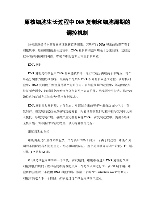 原核细胞生长过程中DNA复制和细胞周期的调控机制