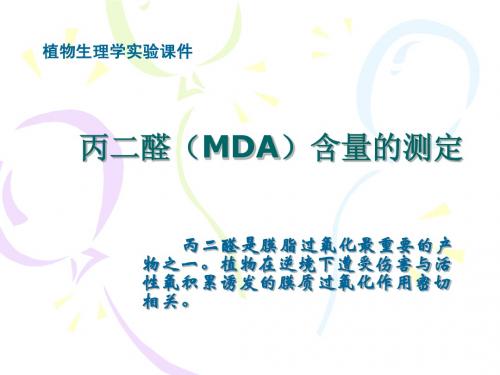 实验十丙二醛(MDA)含量的测定(3h)