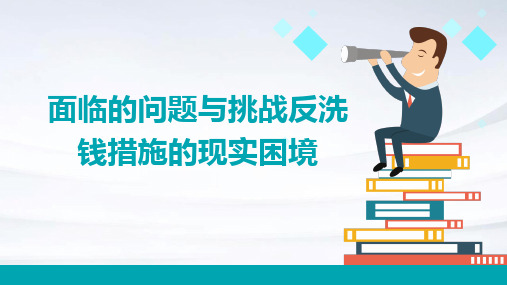 面临的问题与挑战反洗钱措施的现实困境