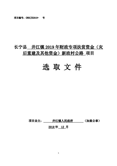 长宁县  井江镇2019年财政专项扶贫资金（灾后重建及其他资金）新政村公路 项目