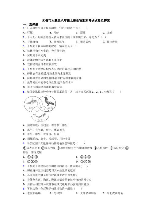 无锡市人教版八年级上册生物期末考试试卷及答案