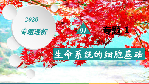 高考生物二轮复习专题1生命系统的细胞基础课件高三全册生物课件