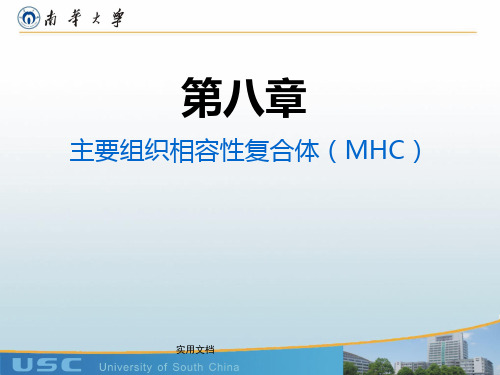 医学免疫学- MHC