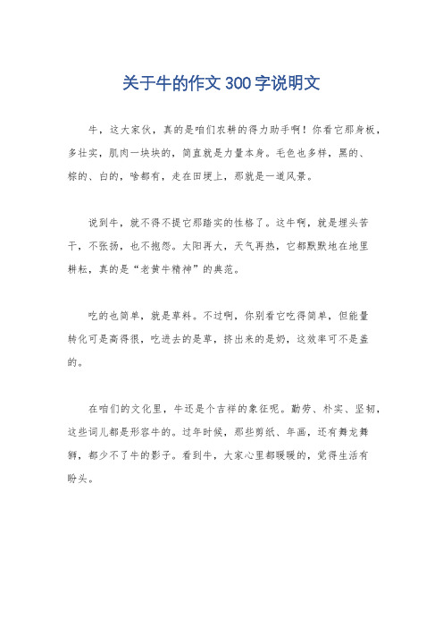 关于牛的作文300字说明文