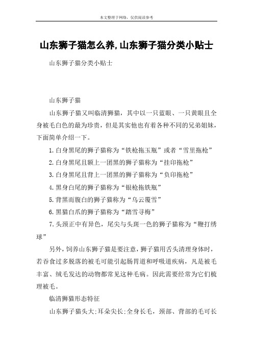 山东狮子猫怎么养,山东狮子猫分类小贴士