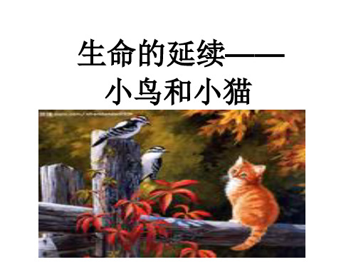 (五下)科学优秀课件-6小鸟和小猫 ｜冀教版 PPT(15页)