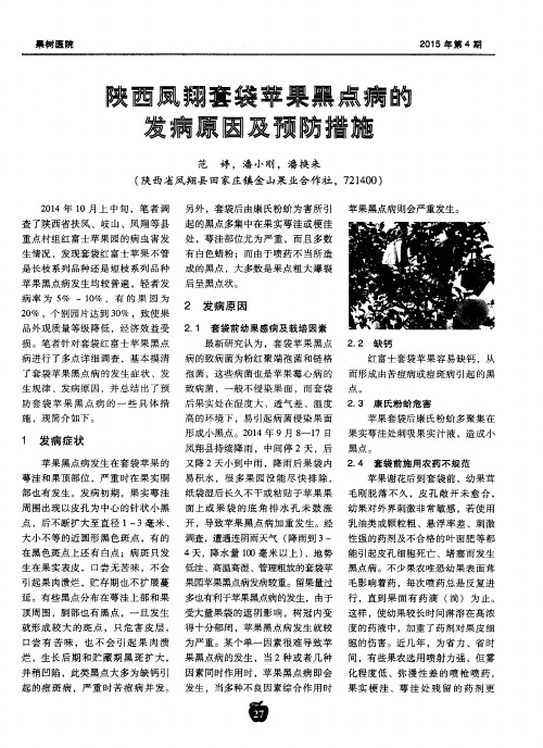 陕西凤翔套袋苹果黑点病的发病原因及预防措施