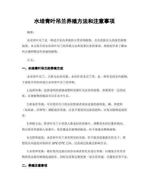 水培青叶吊兰养殖方法和注意事项