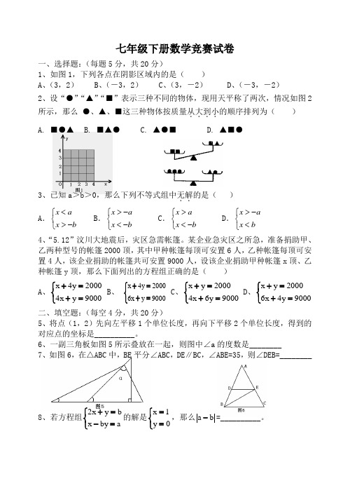 竞赛新人教版七年级下册数学试卷