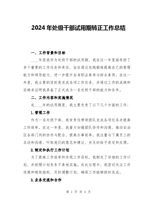 2024年处级干部试用期转正工作总结