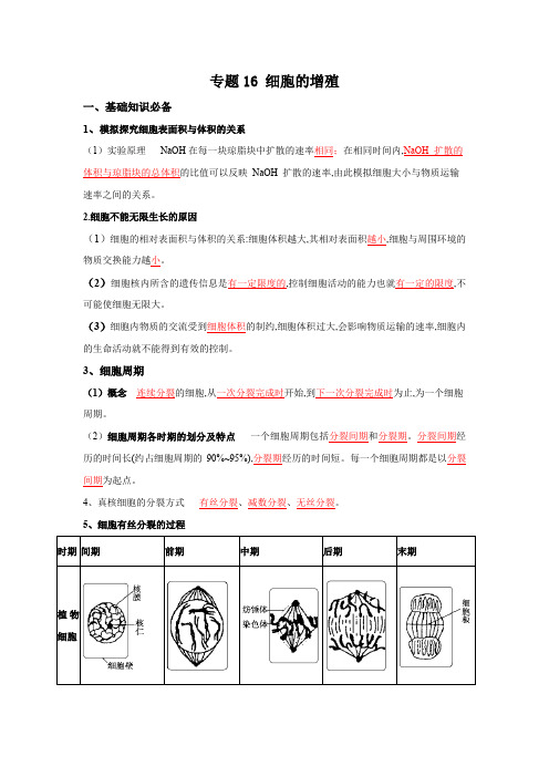 高中生物 复习总结细胞的增殖