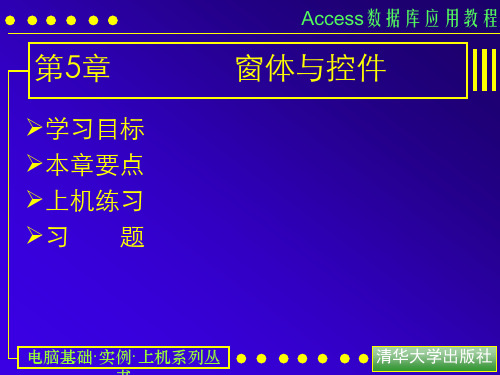 access数据库应用教程5,窗体与控件