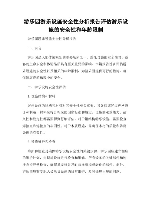 游乐园游乐设施安全性分析报告评估游乐设施的安全性和年龄限制