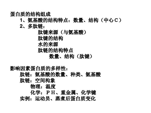 氨基酸肽链