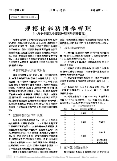 规模化养猪饲养管理  4后备母猪及母猪配种期间的饲养管理