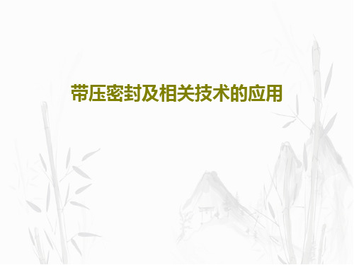 带压密封及相关技术的应用78页PPT