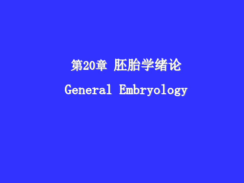 组织学与胚胎学：第20章 胚胎学绪论