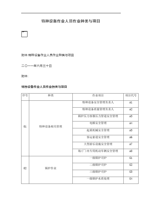 特种设备作业人员作业种类与项目【最新版】