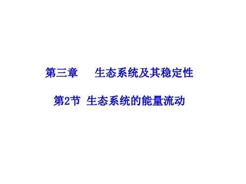 【课件】生态系统的能量流动课件-高二上学期生物人教版(2019)选择性必修二