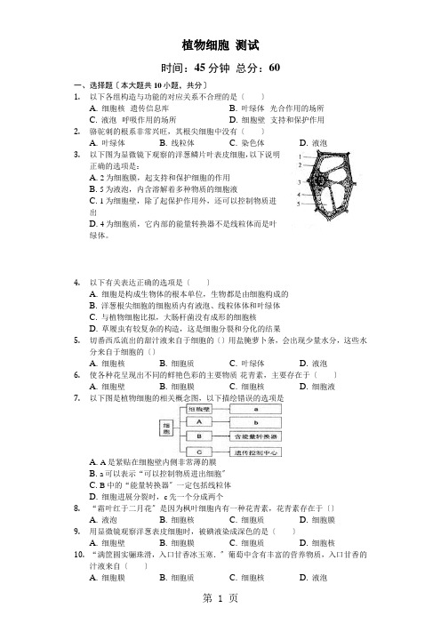 人教版生物七年级上第二单元第二节《植物细胞》测试(含答案及解析)