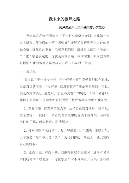 我未来的教师之路